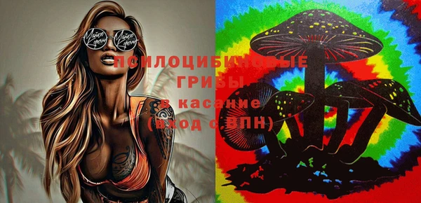 apvp Балабаново